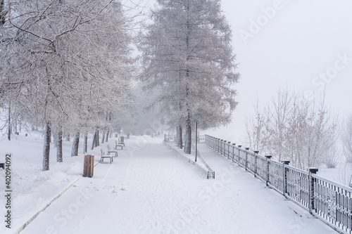 Alley on the embankment in siberia in winter