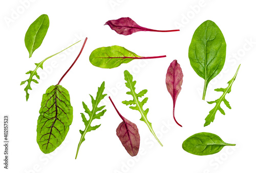 single leaves of leafy vegetables cut out on white background