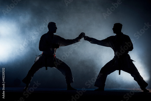 Portrait of a martial arts masters on the black background