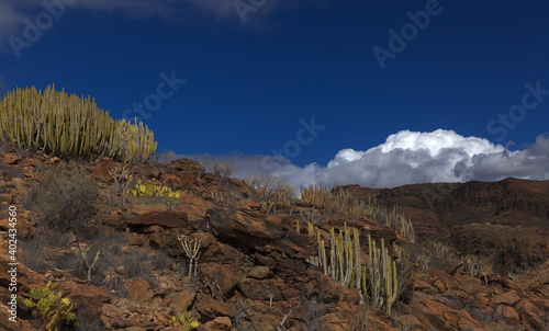 Gran Canaria, landscapes along the hiking route around the ravive Barranco del Toro at the southern part of the island 