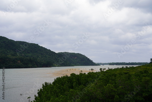 西表島の手つかずの自然の大地と生い茂るマングローブの風景