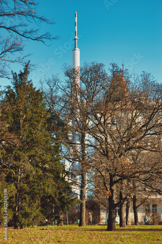 tv tower in Prague behind trees at the distance