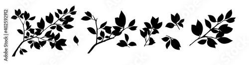 Summer tree branch with monochrome leaves. Vector illustration