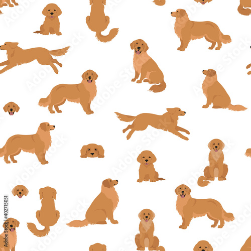 Golden retriever dogs in different poses and coat colors. Seamless pattern. Adult goldies and puppy set