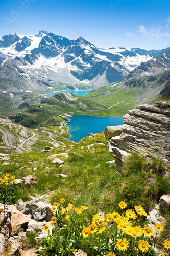 Lakes and flowers in the Italian Alps