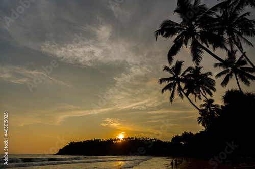 Blue sky at sunset on a beach with palm trees and horizon in silhouette