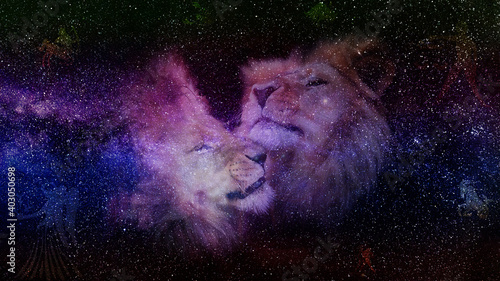 Lions starry sky