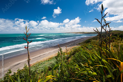 Panorama of Ngarunui beach, perfect surfing spot in Raglan, Waikato, New Zealand
