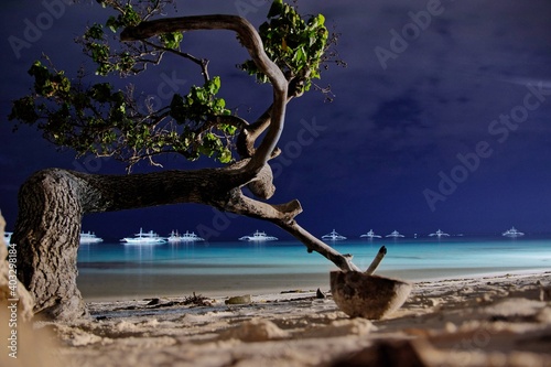 Night photo of bent, solitaire tree, growing on the edge of Mindanao sea, on Dumaluan beach located on Panglao Philippines island