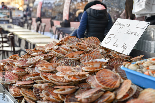 Fresh Scallops on a seafood market at Dieppe France