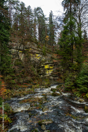 Żółte porosty na skałach nad rzeką Szklarka, Szklarska Poręba, Karkonosze, Polska