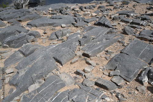 Calcit Adern im Kalkstein Gestein auf der Hochebene vor dem Grand Canyon Dschabal Schams im Oman.