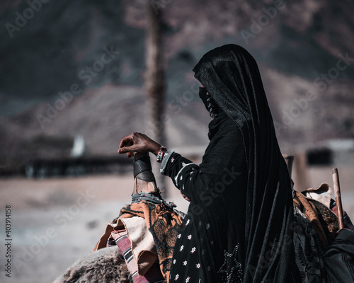 Unidentified bedouin woman in an abaya standing near a lying camel with her hand on a camel saddle