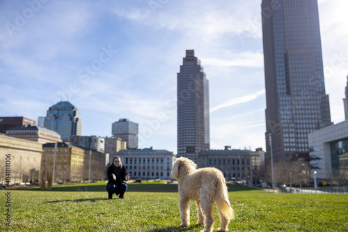 Labradoodle gets trained by a woman at a dog park in Cleveland Downtown. 