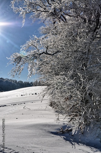 Zima w Beskidach, góry w śnieżnej scenerii