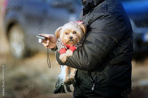 Sylwetka człowieka trzymającego małego psa na rękach