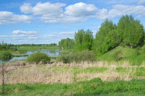 Spring landscape with a river and trees on the shore