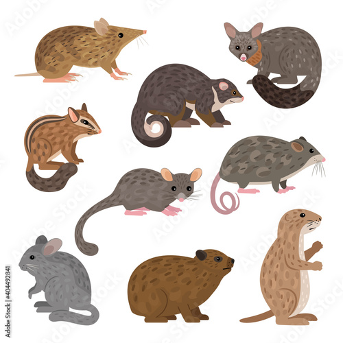 African carnivores animals. Cartoon image of wildlife creatures, set of resident of zoo, vector illustration of savannah characters isolated on white background