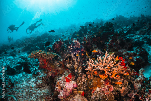 Coral reef and scuba diving scene underwater, colorful reef and tropical fish in clear blue water