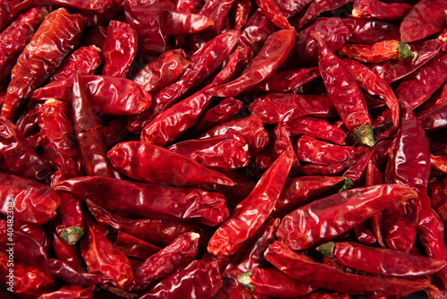 Close up of Red Chili Pepper covered in full screen