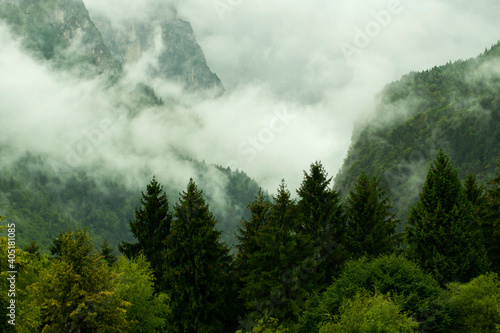 Misty morning in the mountains