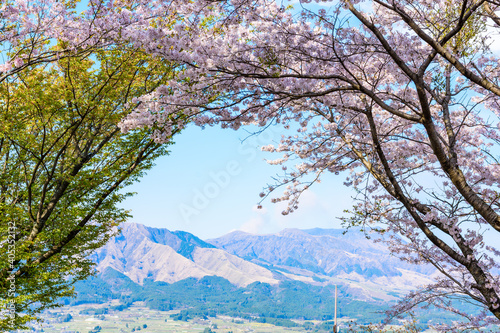 阿蘇山・阿蘇五岳を背景に春風空をイメージに最高に美しい桜の花 日本 熊本県南阿蘇2020年春撮影 The most beautiful cherry blossoms with the image of the spring breeze against the backdrop of Mt. Aso and Mt. Aso Japan, Kumamoto Minamiaso2020