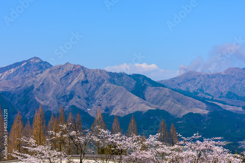 阿蘇山・阿蘇五岳を背景に春風空をイメージに最高に美しい桜の花 日本 熊本県南阿蘇2020年春撮影 The most beautiful cherry blossoms with the image of the spring breeze against the backdrop of Mt. Aso and Mt. Aso Japan, Kumamoto Minamiaso2020