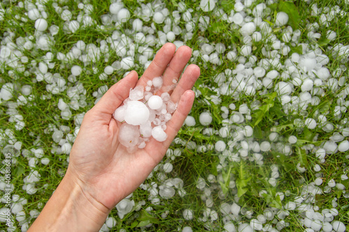 Large hail in human hands on the green grass background.