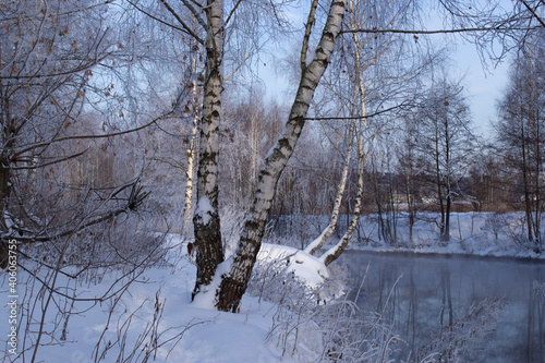 Winter landscape with birches on the background of a river with snow-covered banks.