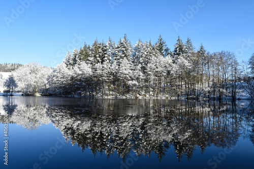 Belgique Wallonie Gaume Habay lac neige hiver environnement bois foret