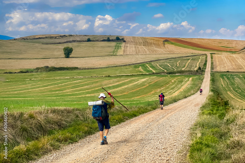 Pilgrims Walking the Picturesque Landscapes of Fields and Rolling Hills of the La Rioja Region of Spain on the Way of St James - Camino de Santiago