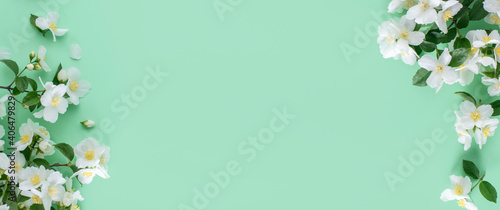 Spring background. White jasmine flowers on a mint background. Banner.