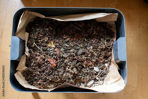 A close up view of worms put into a new feeding tray with fresh bedding material in an indoor vermicomposter. Worm composter are a perfect solution in an apartment to process food waste