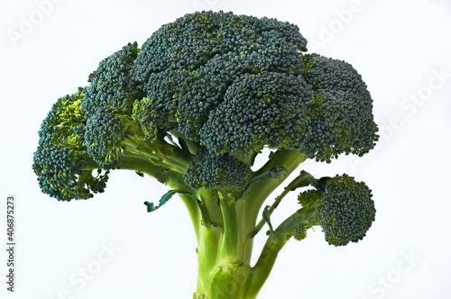 brocoli