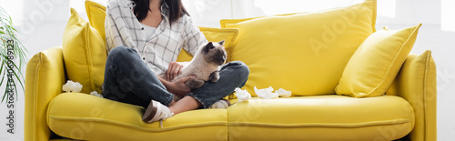 cropped view of allergic woman sitting with cat on yellow sofa near crumpled paper napkins, banner