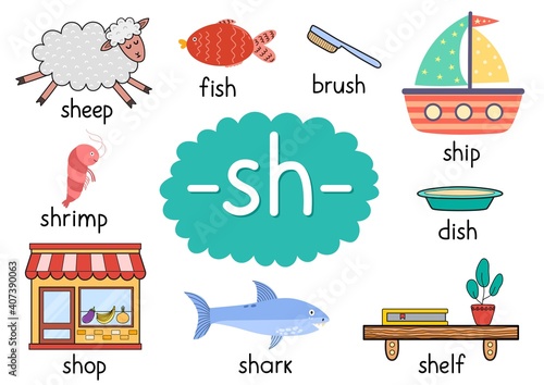 Sh digraph with words educational poster for kids. Learning phonics for school and preschool. Phonetic worksheet. Vector illustration