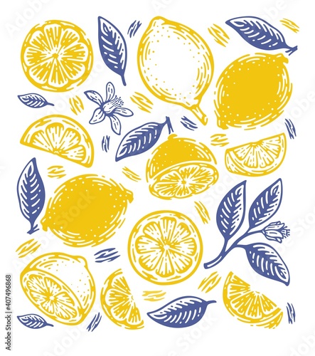 Single Pattern of doodle hand drawn lemon.