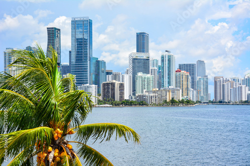 Downtown Miami condo skyline with palm tree along Biscayne Bay in Miami-Dade County, South Florida