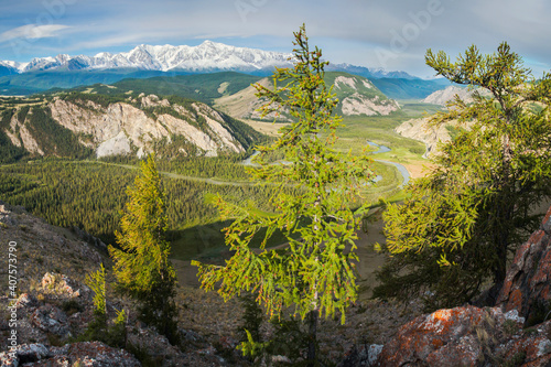 The Chuya River valley, Altai, summer landscape, green slopes and forest, view from the mountain