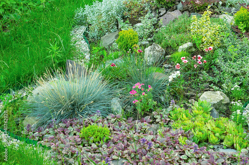 Colorful rock garden with growing green mixed plants and flowers, soft selective focus