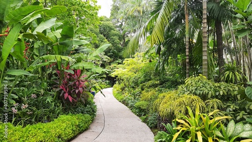 Beautiful pathway in a garden Singapore