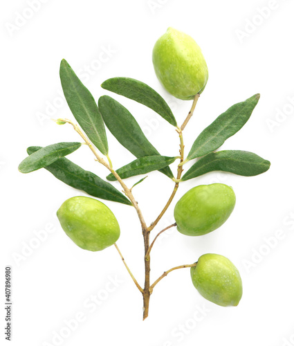 Olive fruit and olive leaves on a white background