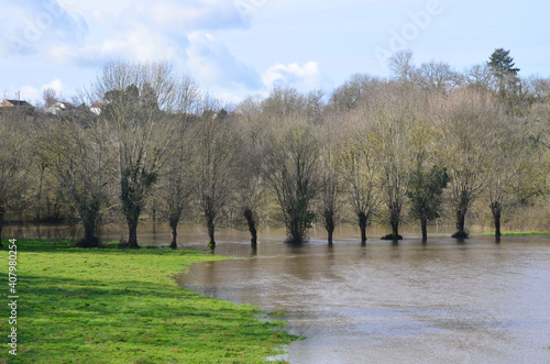 River in flood. La Sèvre nantaise. France. 