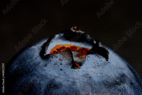 blueberry close-up macro fruit picture