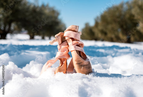 Close-up of pink ballet slippers stuck in the snow in an olive tree field