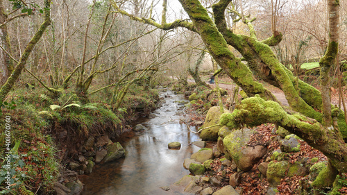 Río Bayones, Parque Natural Saja Besaya, Ucieda. Cantabria, España