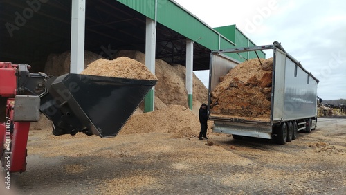 Alternative fuel, ecological fuel, biofuel Wood sawdust, sawdust close-up background. Sawdust texture