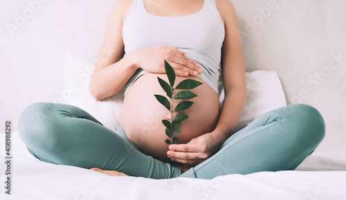 Pregnant woman holds green sprout plant near her belly as symbol of new life, wellbeing, fertility, unborn baby health. Concept pregnancy, maternity, eco sustainable lifestyle, gynecology.