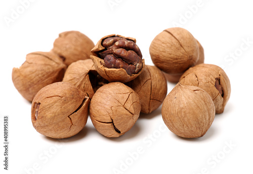 shagbark hickory nuts on white background