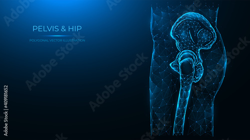 Polygonal vector illustration of the human pelvis and hip joint side view. Human thigh made of dots and lines isolated on dark blue background.